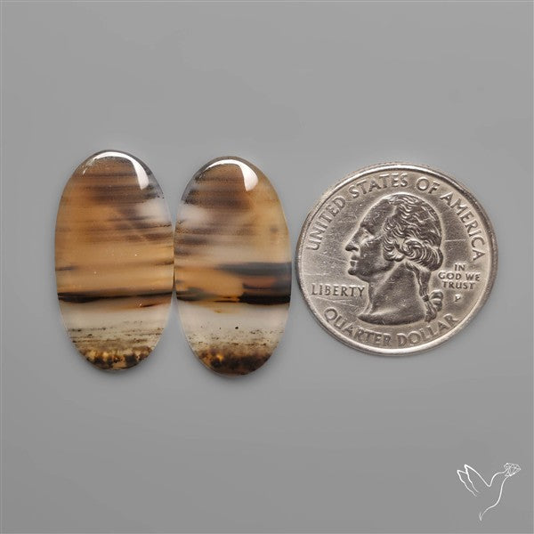 Montana Agates Pair
