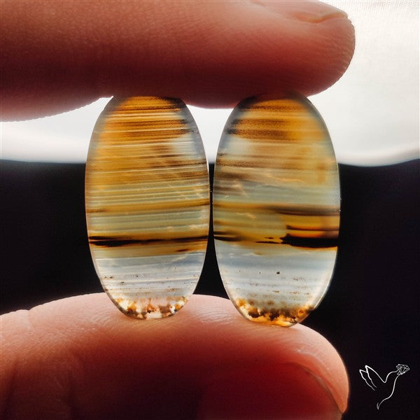 Montana Agates Pair