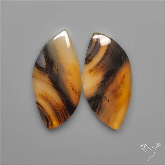 Montana Agates Pair