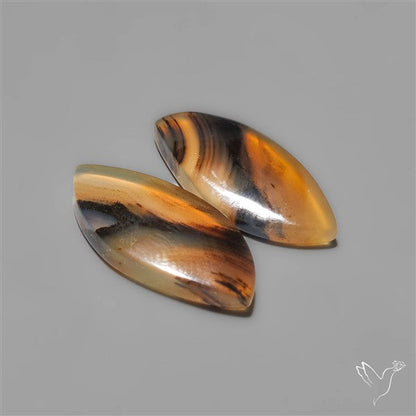 Montana Agates Pair