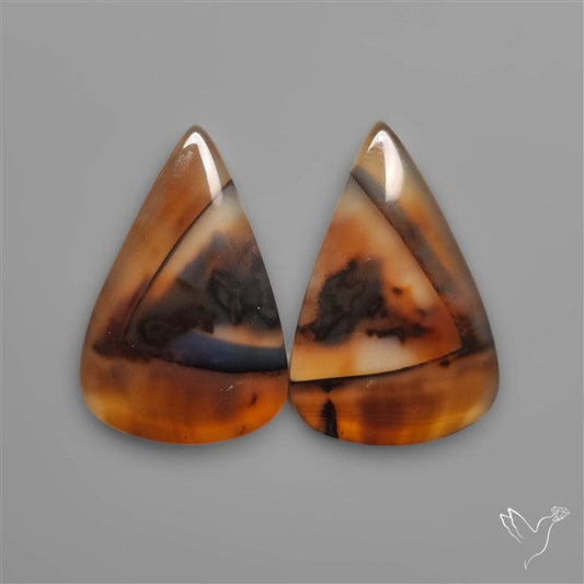 Montana Agates Pair