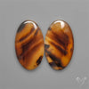 Montana Agates Pair