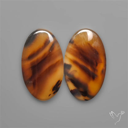 Montana Agates Pair