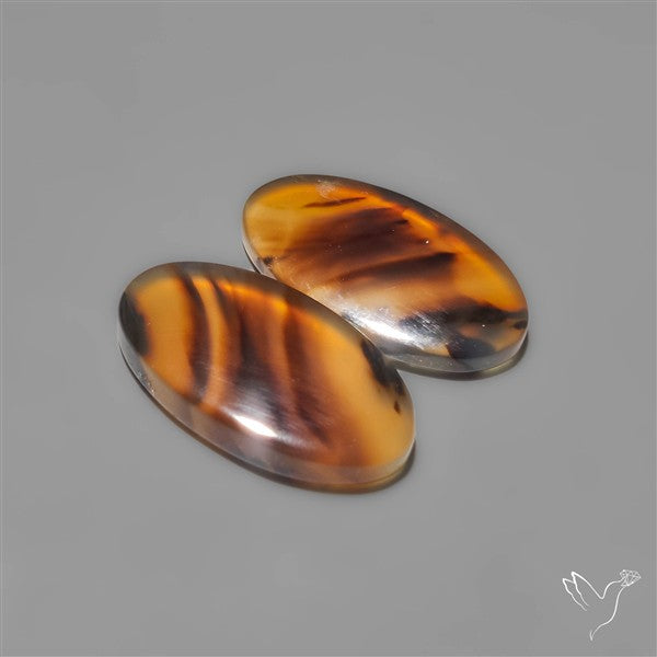 Montana Agates Pair