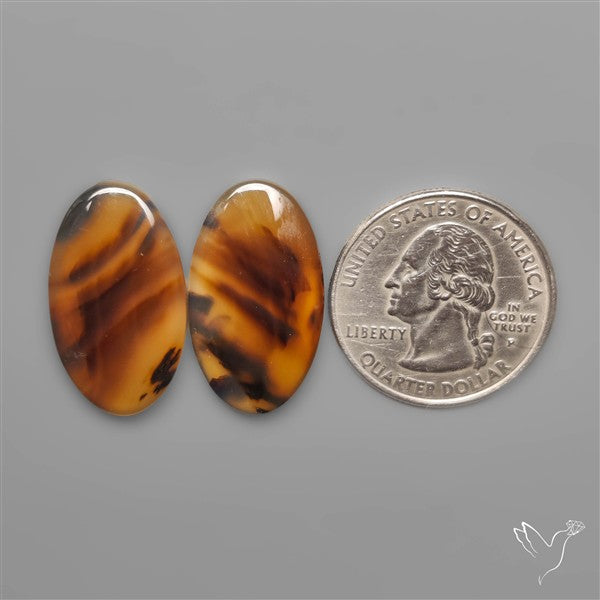 Montana Agates Pair