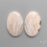 Pink Scolecites Pair