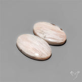 Pink Scolecites Pair