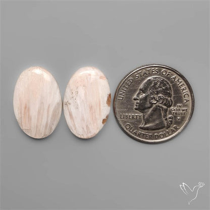 Pink Scolecites Pair
