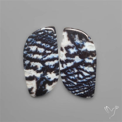 Tuxedo Agate Pair