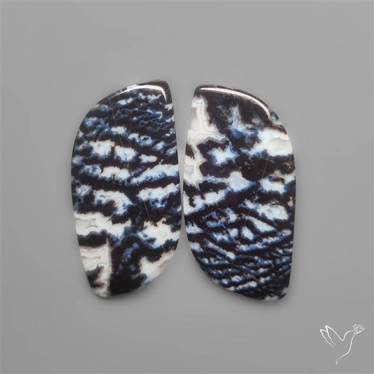 Tuxedo Agate Pair