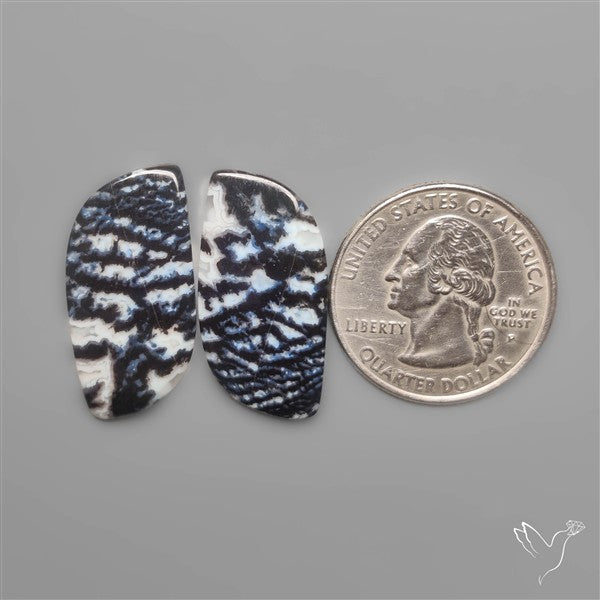 Tuxedo Agate Pair