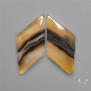 Montana Agates Pair
