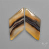 Montana Agates Pair