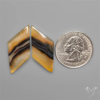 Montana Agates Pair