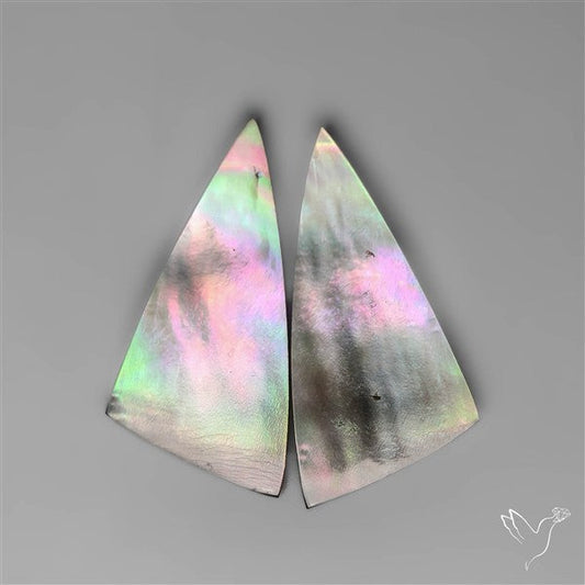 Rainbow Tahitian Black Mother Of Pearls Pair