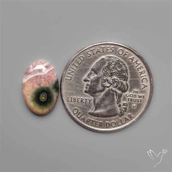 Ocean Orbicular Jasper