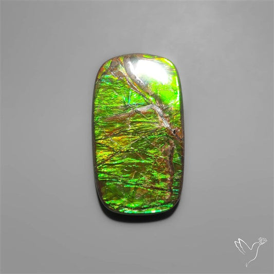 Large Ammolite (perfect natural green)