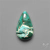 Parrot Wing Chrysocolla Cabochon