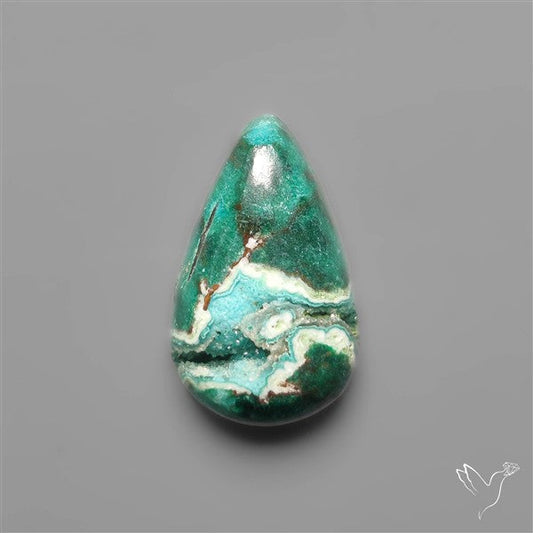 Parrot Wing Chrysocolla Cabochon