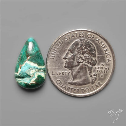 Parrot Wing Chrysocolla Cabochon