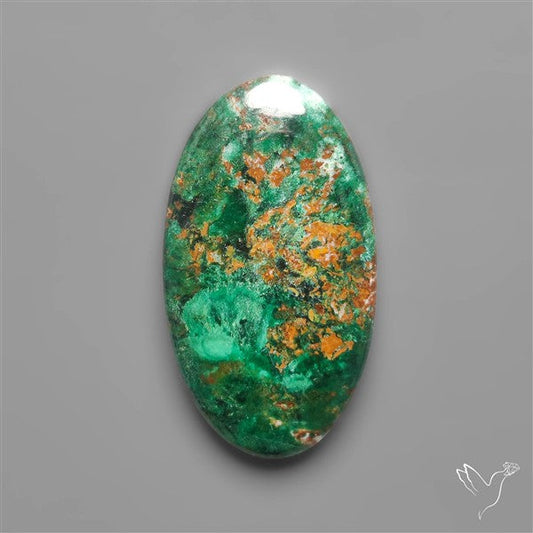 Parrot Wing Chrysocolla Cabochon