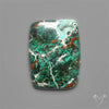 Parrot Wing Chrysocolla Cabochon