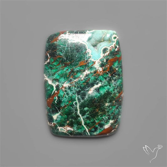 Parrot Wing Chrysocolla Cabochon