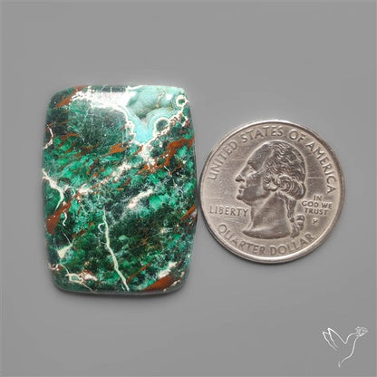 Parrot Wing Chrysocolla Cabochon