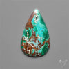 Parrot Wing Chrysocolla Cabochon