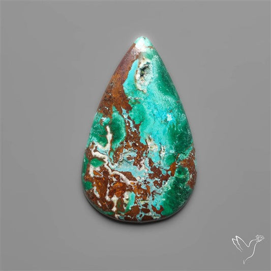 Parrot Wing Chrysocolla Cabochon
