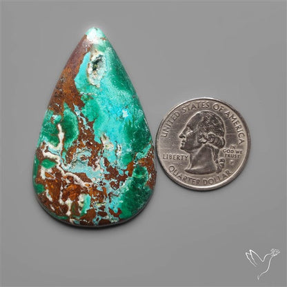Parrot Wing Chrysocolla Cabochon