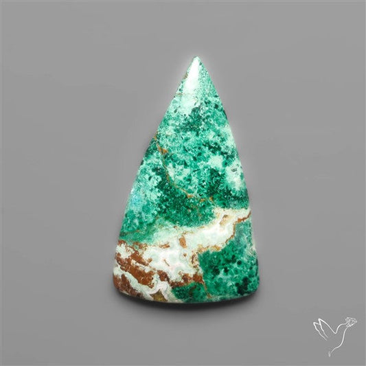 Parrot Wing Chrysocolla Cabochon