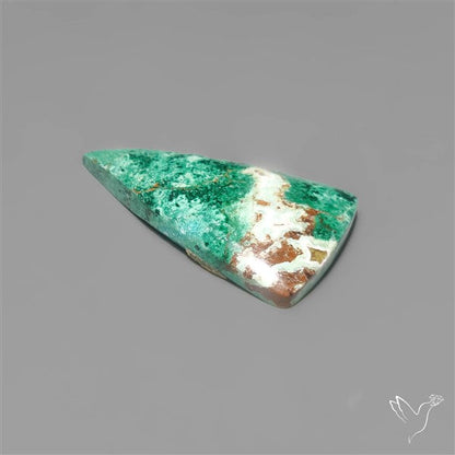 Parrot Wing Chrysocolla Cabochon