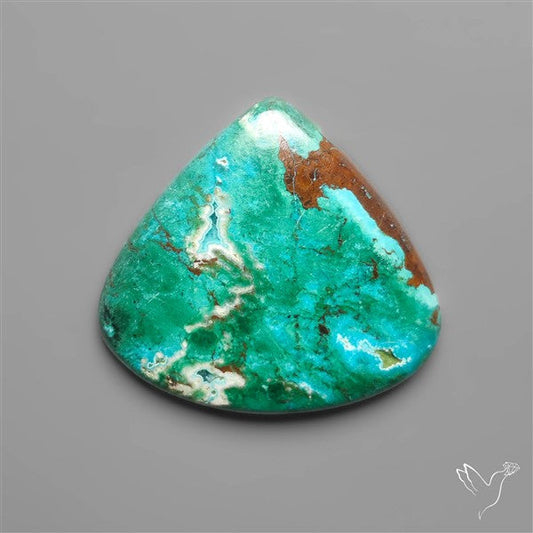 Parrot Wing Chrysocolla Cabochon