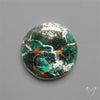 Parrot Wing Chrysocolla Cabochon