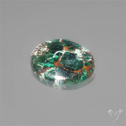 Parrot Wing Chrysocolla Cabochon