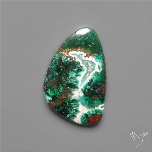 Parrot Wing Chrysocolla Cabochon