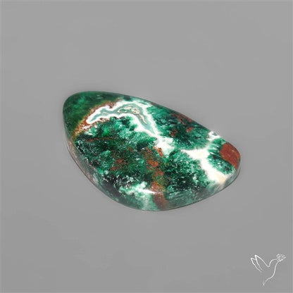 Parrot Wing Chrysocolla Cabochon