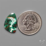 Parrot Wing Chrysocolla Cabochon
