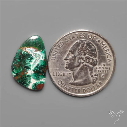 Parrot Wing Chrysocolla Cabochon