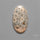 Fossil Coral Cabochon