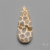 Fossil Coral Cabochon