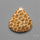 Fossil Coral Cabochon