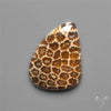 Fossil Coral Cabochon