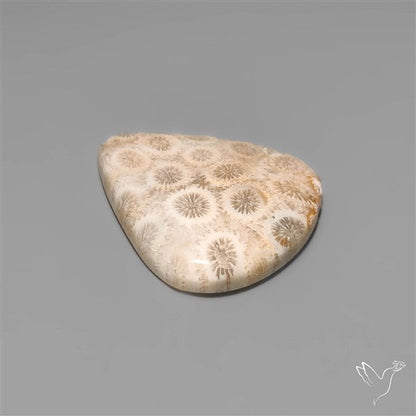 Fossil Coral Cabochon