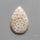 Fossil Coral Cabochon