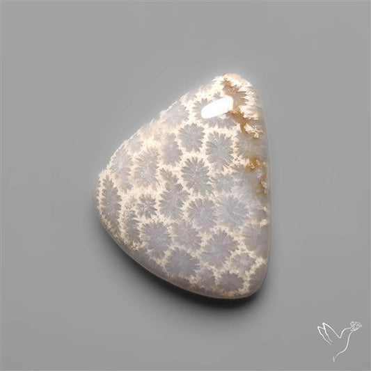 Fossil Coral Cabochon