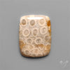 Fossil Coral Cabochon