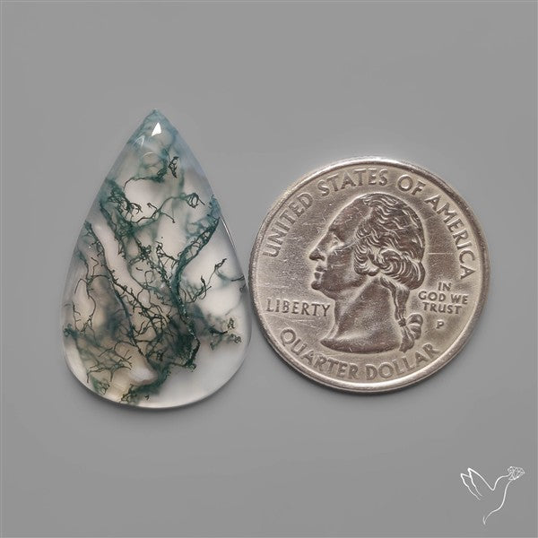 Moss Agate Cabochon