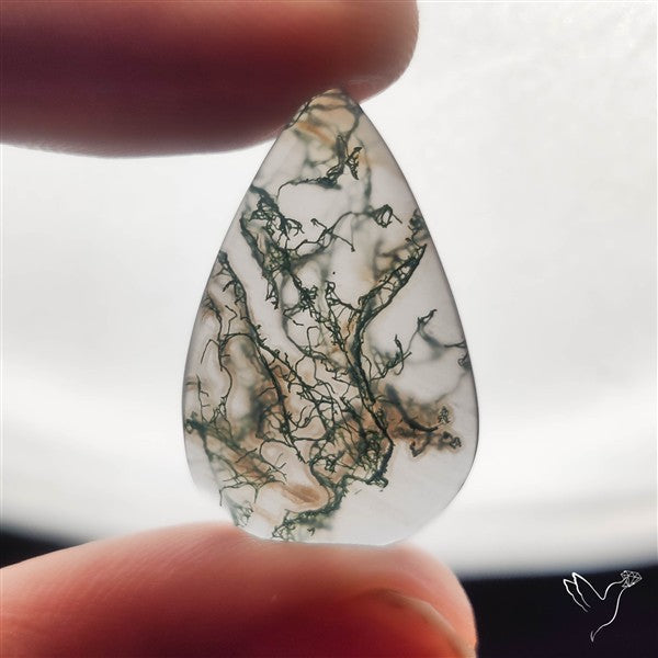 Moss Agate Cabochon